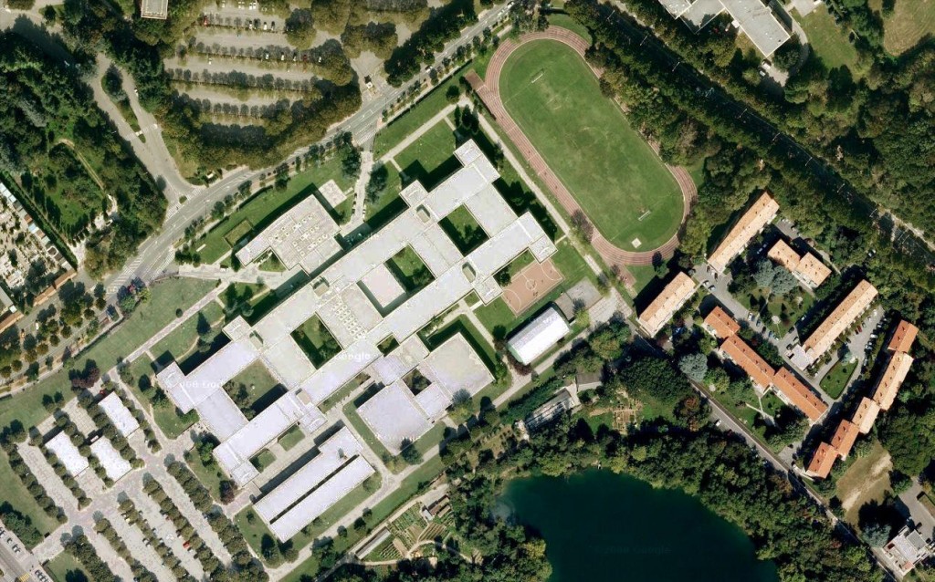 champignon disharmoni mandig Liceo Primo Levi
